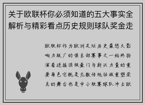 关于欧联杯你必须知道的五大事实全解析与精彩看点历史规则球队奖金走势 关于欧联杯你必须知道的五大事实全解析与精彩看点历史规则球队奖金走势